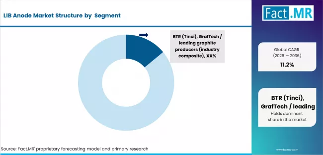 Lib Anode Market Analysis By Company