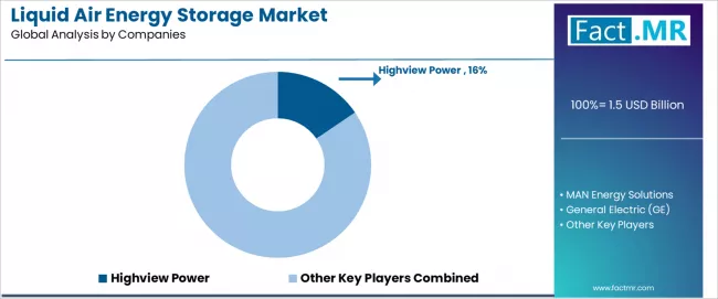 Liquid Air Energy Storage Market Analysis By Company Liquid Air Energy Storage Market Analysis By Company