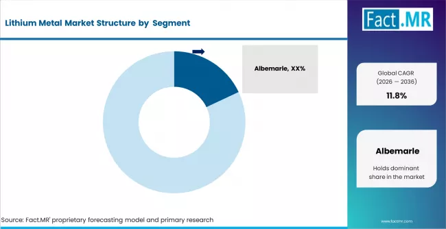 Lithium Metal Market Analysis By Company
