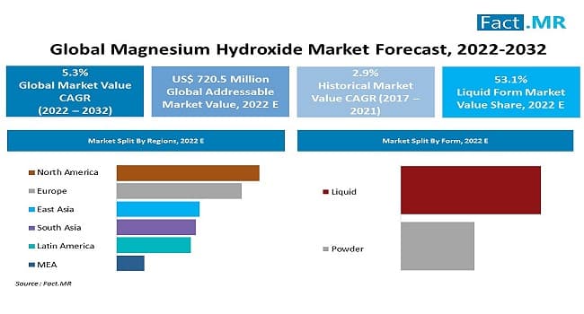 Magnesium hydroxide market forecast by Fact.MR