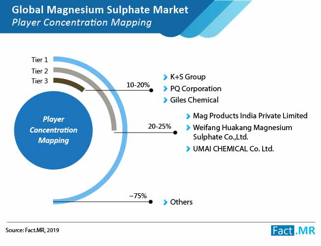 magnesium sulphate market 01