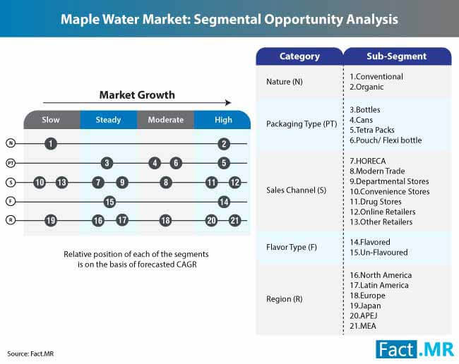 maple water market segmental opportunity analysis