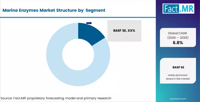 Marine Enzymes Market Analysis By Company