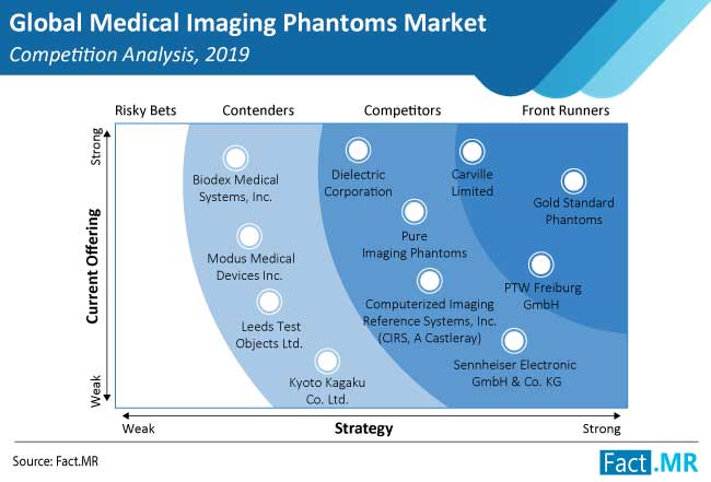 medical imaging phantoms market competition analysis