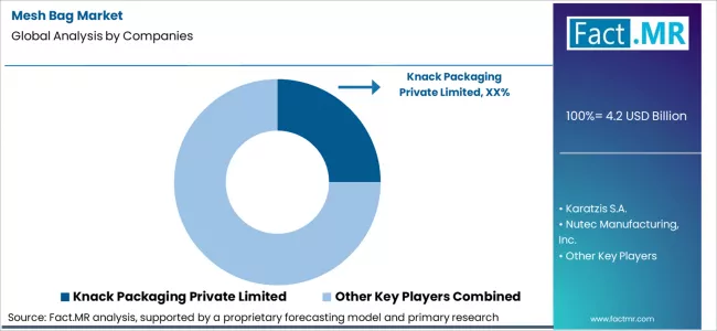 Mesh Bag Market Analysis By Company Mesh Bag Market Analysis By Company