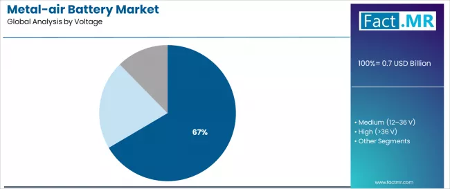 Metal Air Battery Market Analysis By Voltage