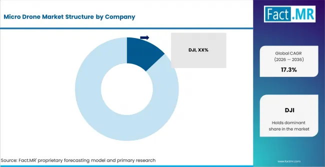Micro Drone Market Analysis By Company