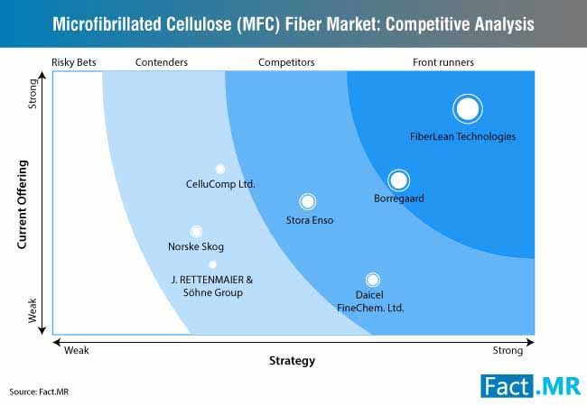 Microfibrillated Cellulose Fiber Market 1 microfibrillated cellulose fiber market 1