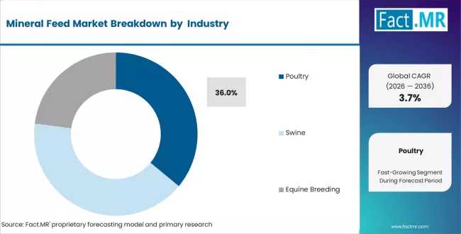 Mineral Feed Market Analysis By End Use Application