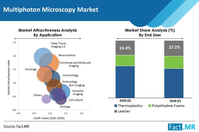 Multiphoton microscopy market application forecast by Fact.MR