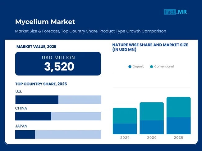 Mycelium Market