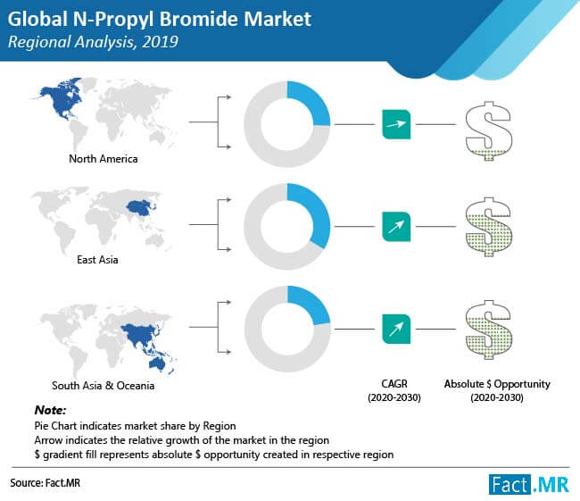 n propyl bromide market regional analysis