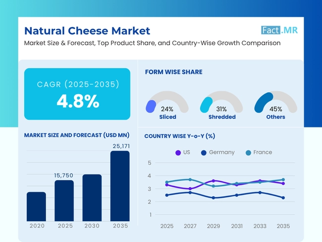 Natural Cheese Market Overview
