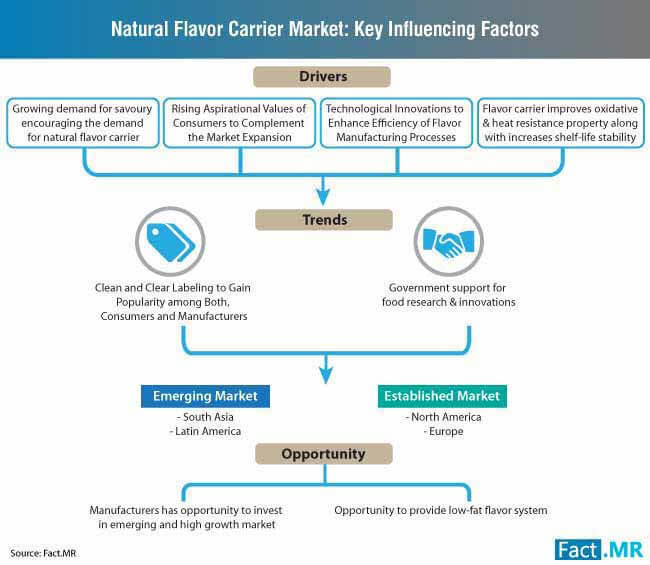 natural flavor carrier market key influencing factors