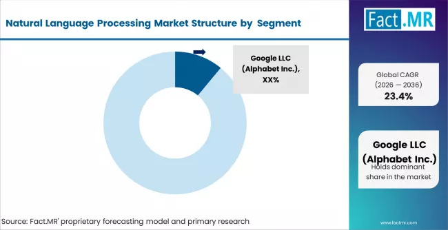 Natural Language Processing Market Analysis By Company