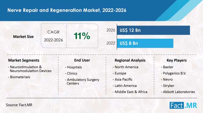 Nerve Repair and Regeneration Market Growth & Trends 2026