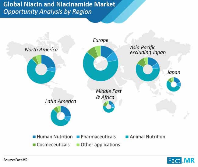 niacin and niacinamide market analysis by region