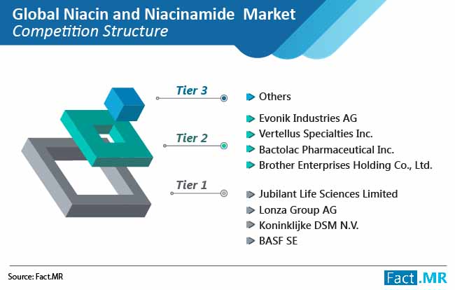 niacin and niacinamide market competation structure