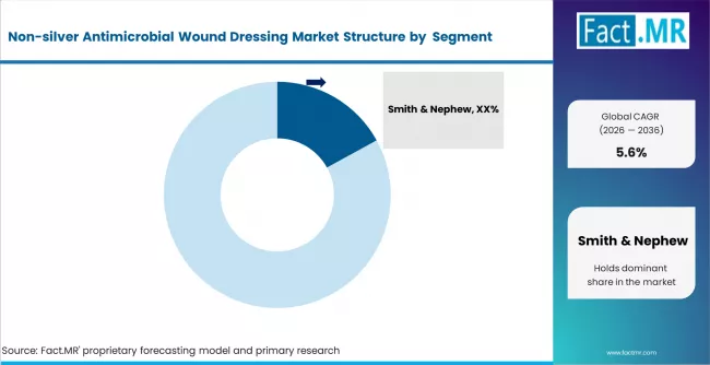 Non Silver Antimicrobial Wound Dressing Market Analysis By Company