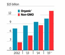 nongmo flour market