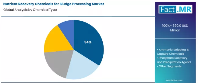 Nutrient Recovery Chemicals For Sludge Processing Market Analysis By Chemical Type