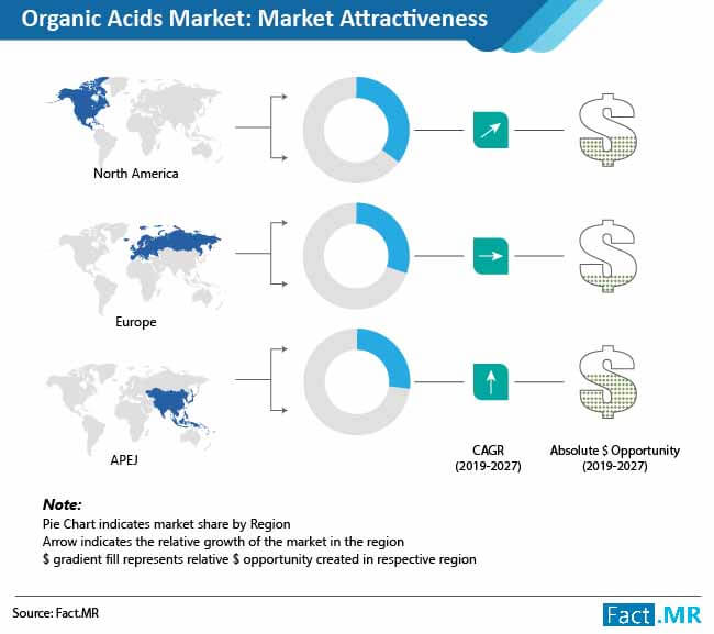 organic acids market attractiveness