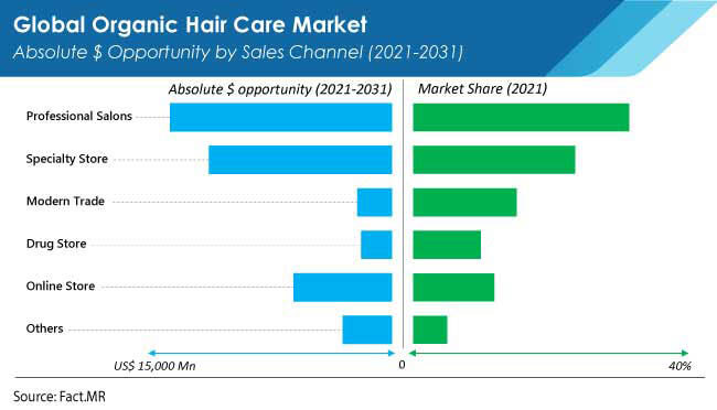 organic hair care market sales channel by FactMR