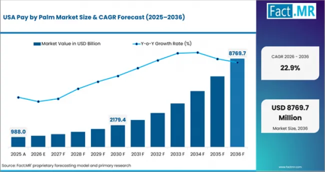 Pay By Palm Market Country Value Analysis