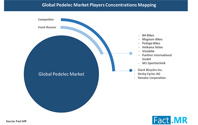 pedelec marketplayers concentrations mapping