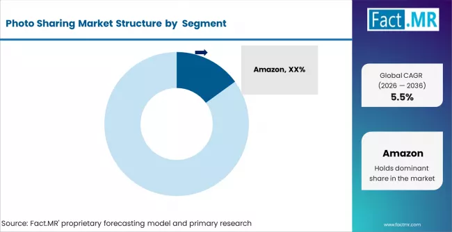 Photo Sharing Market Analysis By Company Photo Sharing Market Analysis By Company