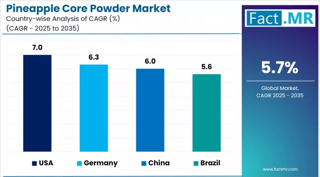 Pineapple Core Powder Market Cagr Analysis By Country