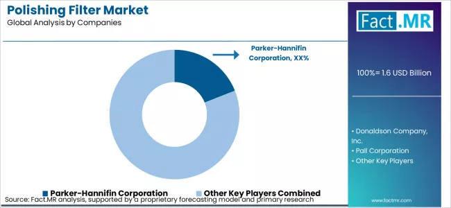 Polishing Filter Market Analysis By Company Polishing Filter Market Analysis By Company