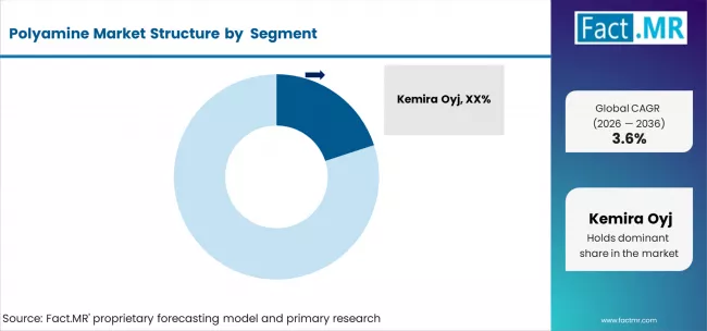 Polyamine Market Analysis By Company