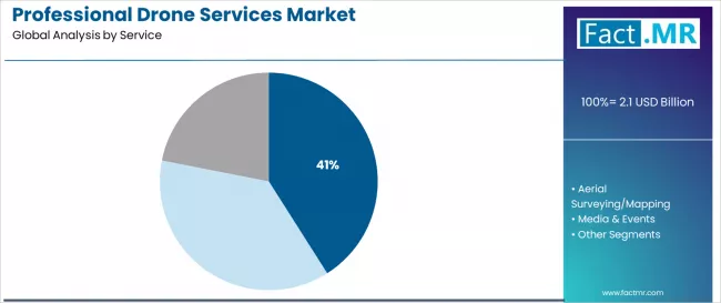 Professional Drone Services Market Analysis By Service