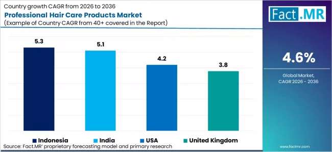 Professional Hair Care Products Market Cagr Analysis By Country