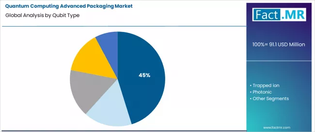 Quantum Computing Advanced Packaging Market Analysis By Qubit Type Quantum Computing Advanced Packaging Market Analysis By Qubit Type