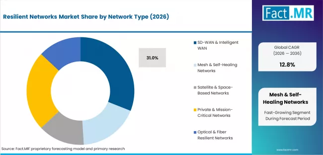 Resilient Networks Market Analysis By Network Type