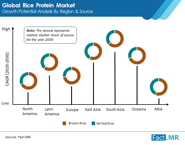 rice protein  market 02