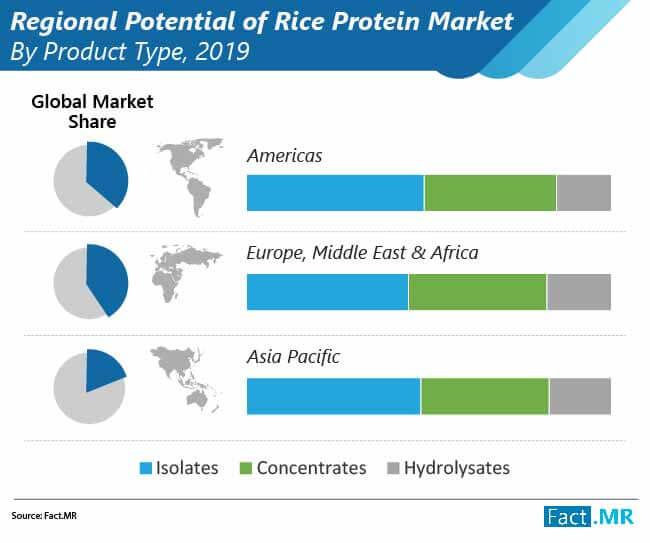Rice Protein Market By Product Type rice protein market by product type