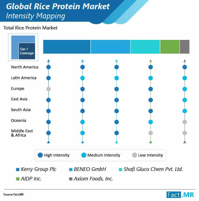 Rice Protein Market Intensity Mapping rice protein market intensity mapping
