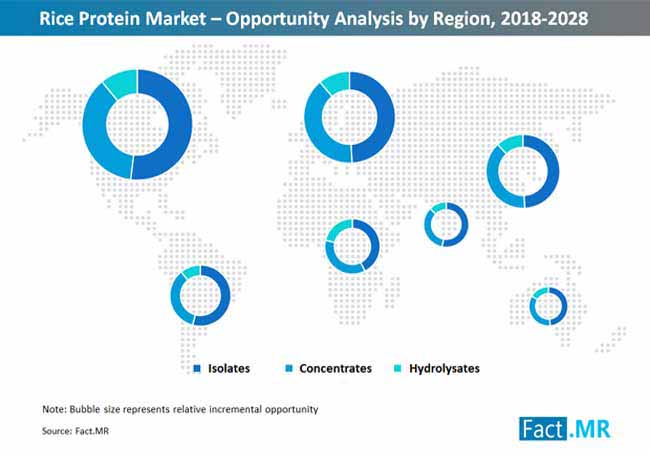 rice protein market opportunity analysis