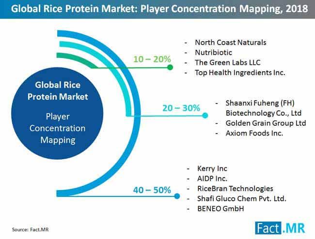 Rice Protein Market Player Competition rice protein market player competition