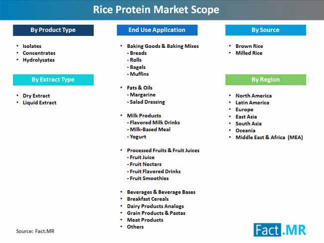 rice protein market scope