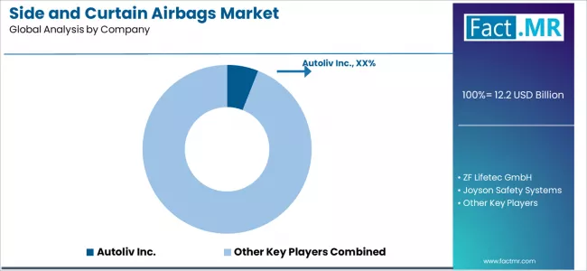 Side And Curtain Airbags Market Analysis By Company Side And Curtain Airbags Market Analysis By Company