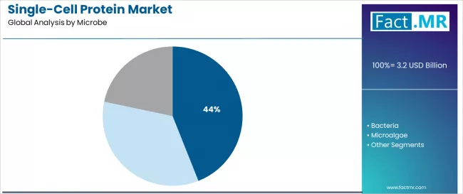 Single Cell Protein Market Analysis By Microbe Single Cell Protein Market Analysis By Microbe
