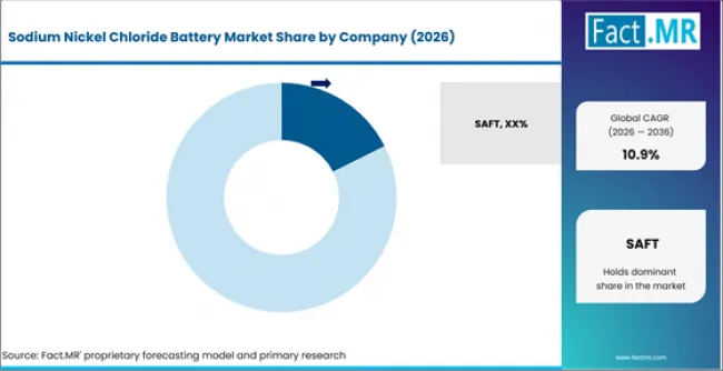 Sodium Nickel Chloride Battery Market Analysis By Company Sodium Nickel Chloride Battery Market Analysis By Company