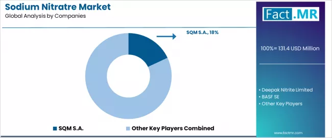 Sodium Nitratre Market Analysis By Company