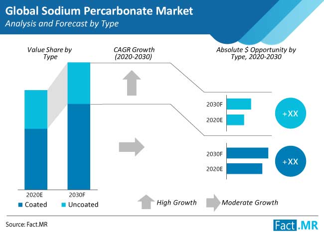 sodium percarbonate market analysis and forecast by type