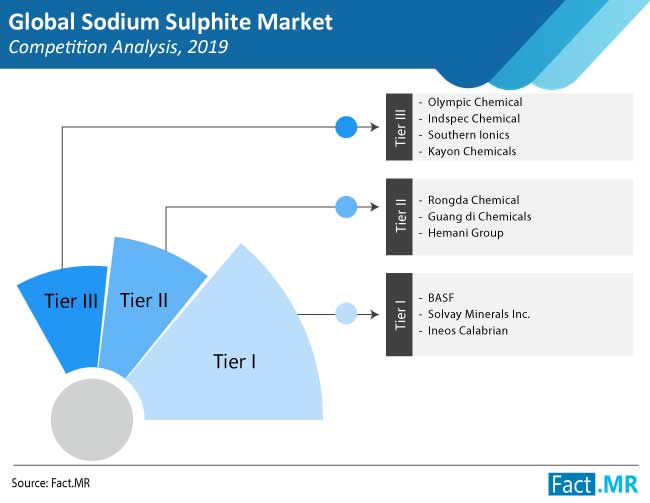 sodium sulphite market competition analysis