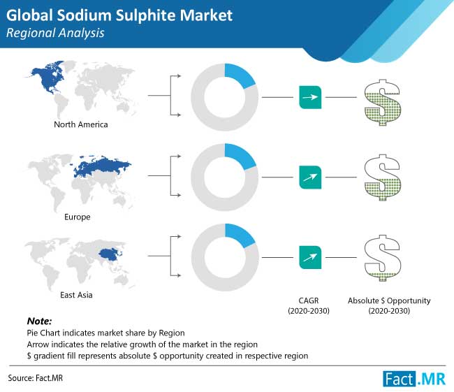 sodium sulphite market regional analysis - Global Banking | Finance